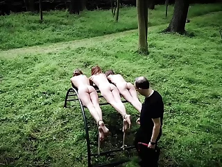 698 tied up porn videos